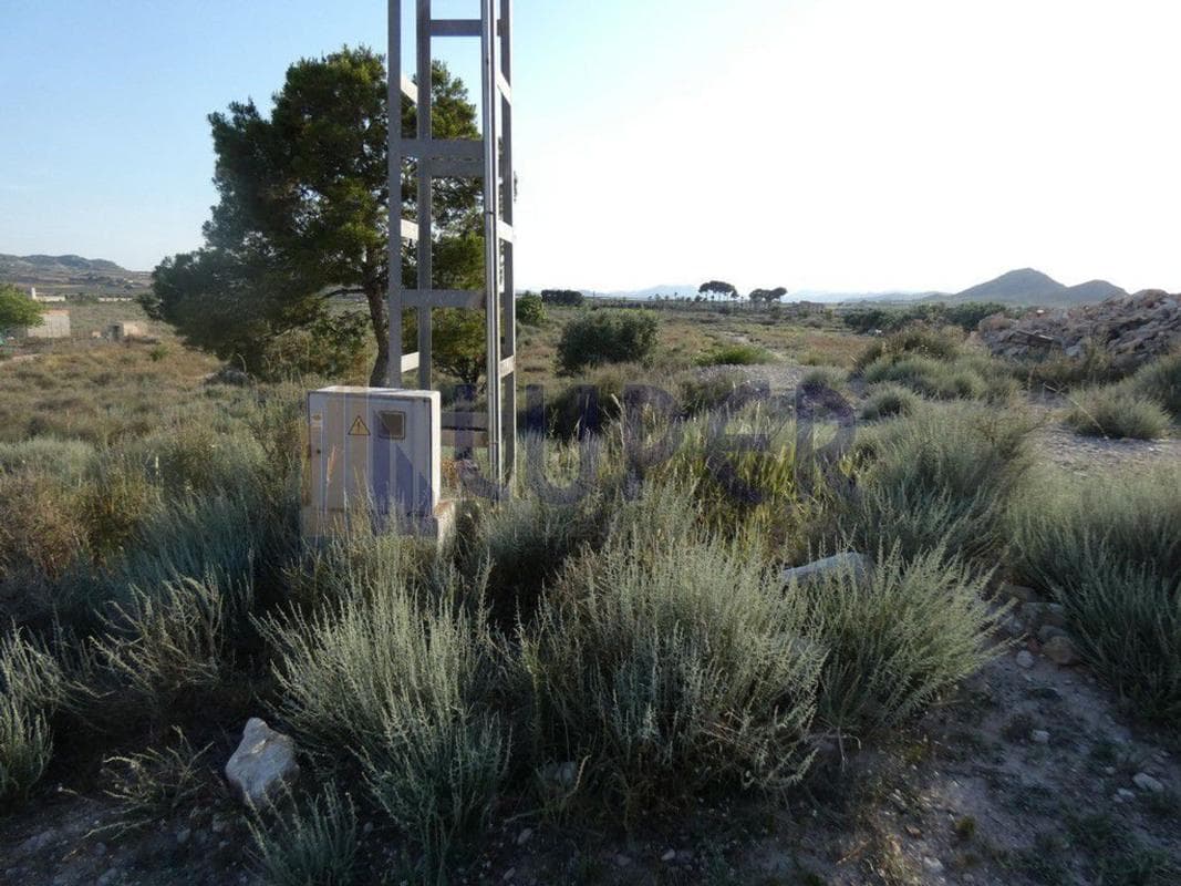 Land for sale in August, Alicante photo 4