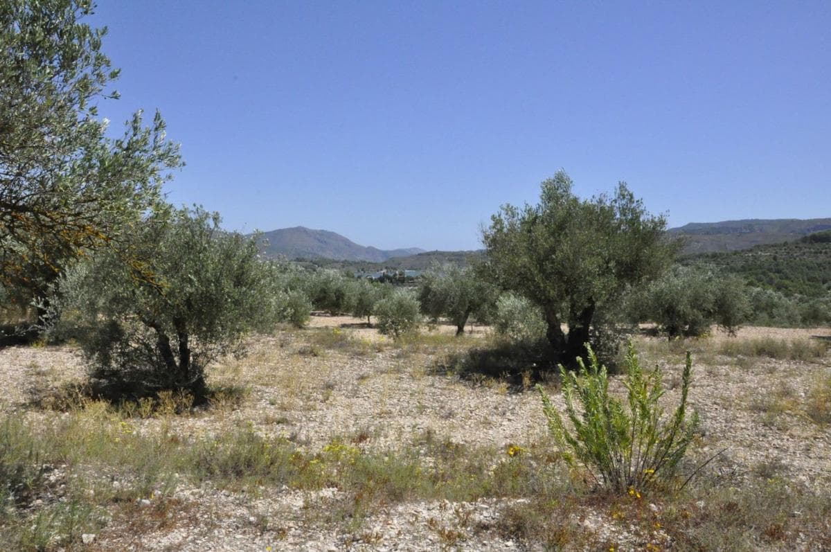 Terreno en venta en Planes, Alicante photo 3