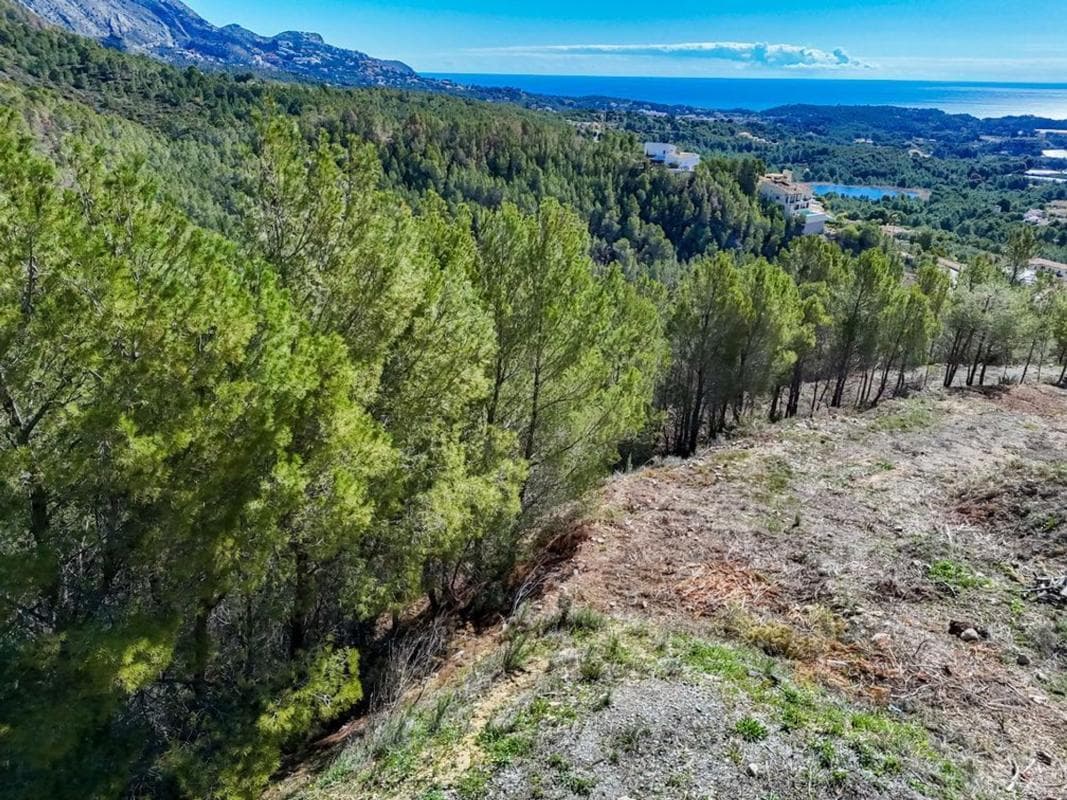 Участок земли на продажу в Каллоса д'Эн-Саррия, Аликанте photo 3