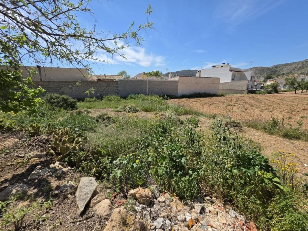 Land for sale in Hondón de las Nieves, Alicante photo 4