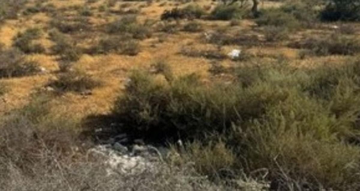 Działka na sprzedaż w Monforte del Cid, Alicante photo 2