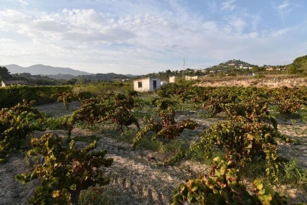 Terreno en Cometa-Carrió, Calpe thumbnail 1