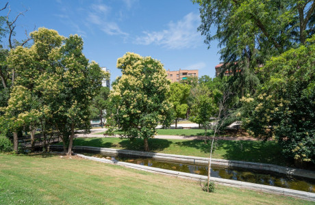 Piso en venta en calle Arquitecto Sánchez Arcas , 5