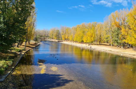 Casa o chalet independiente en venta en calle Segovia, 10