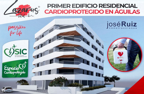 Piso en venta en calle Pintor Rosales s/n