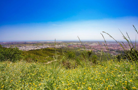 Ático en venta en ronda de Sant Ramon, 132