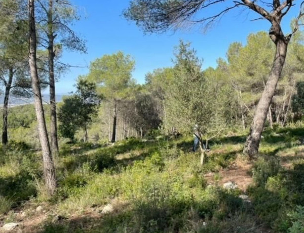 Terreno en venta en Castellet i la Gornal