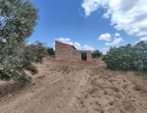 Terreno en venta en carretera Valderrobles s/n