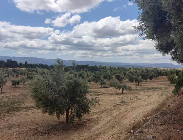 Terreno en venta en carretera Valderrobles s/n