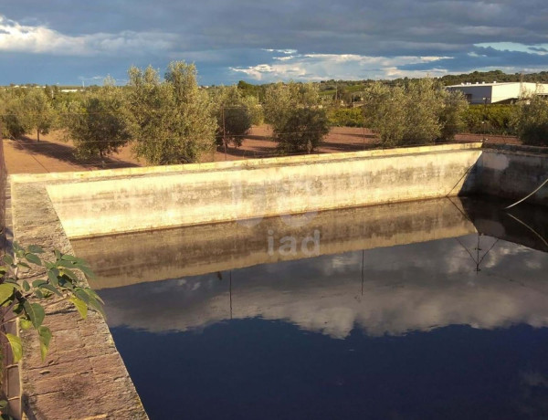 Terreno en venta en Santa Bárbara