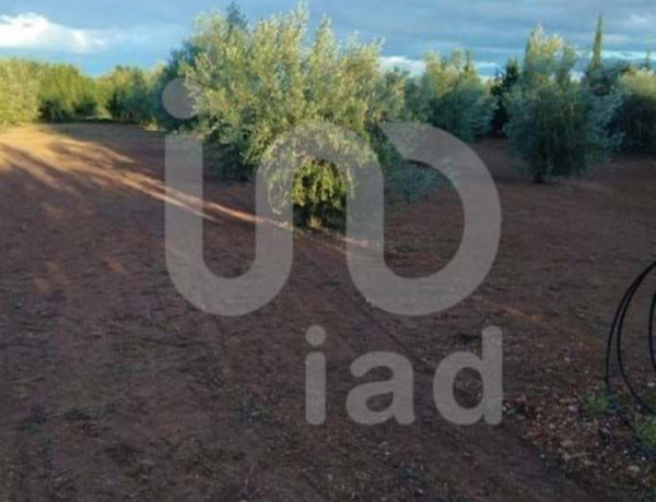 Terreno en venta en Santa Bárbara