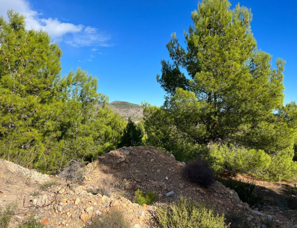 Terreno en venta en Urbanización Coma Fase 1b