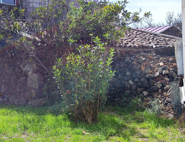 Finca rústica en venta en calle Obispo Pérez Cáceres, 31