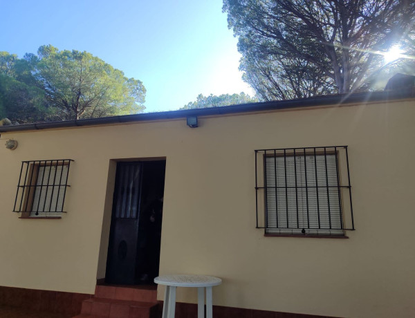 Finca rústica en venta en calle Cuevas de Algaz s/n