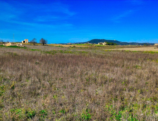 Terreno en venta en poligono 5 Parcela 116, km 3