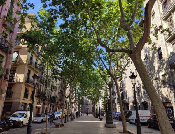 Alquiler de Garaje en calle de Trajà