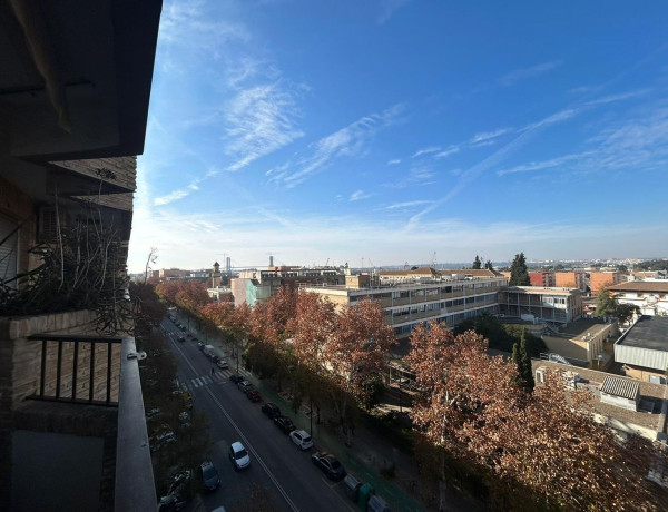 Alquiler de Piso en avenida de la Reina Mercedes, 3