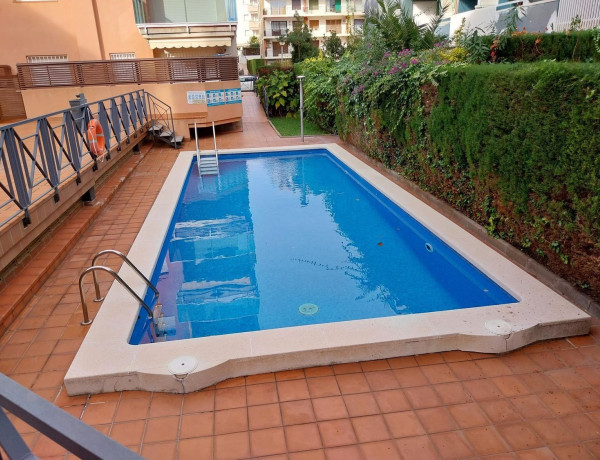 Piso en venta en avenida Palfuriana, 60