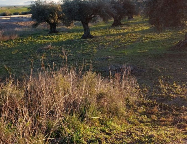 Terreno en venta en calle Iglesia, 86