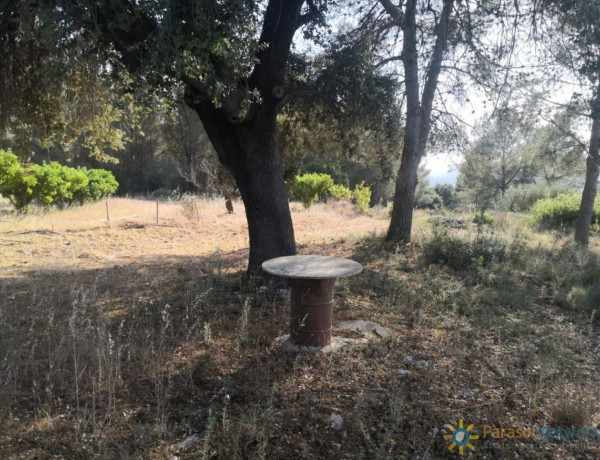 Finca rústica en venta en Beniganim