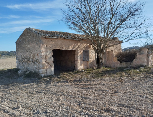 Casa o chalet independiente en venta en Sant Joan