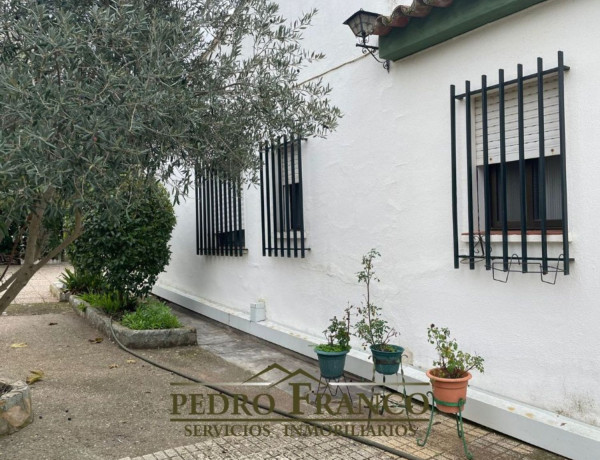 Casa o chalet independiente en venta en Almendralejo