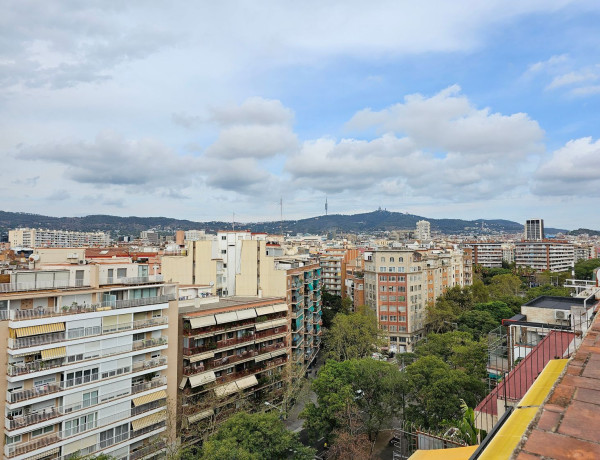 Alquiler de Oficina en avenida de Josep Tarradellas