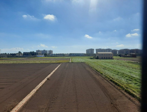 Finca rústica en venta en Alboraya Centro