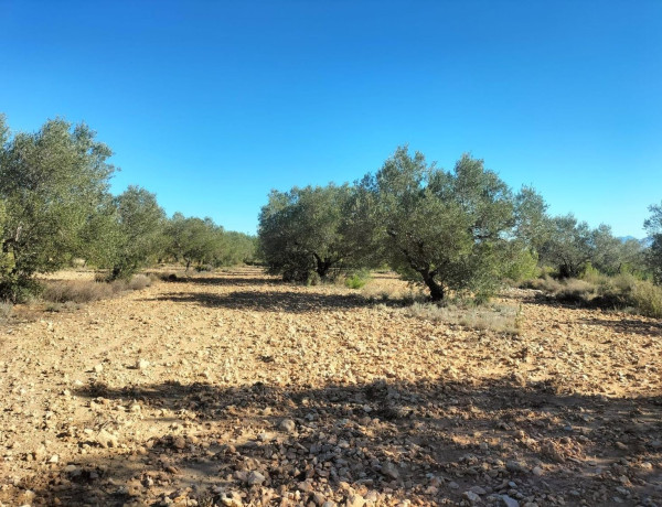 Terreno en venta en Navarrés