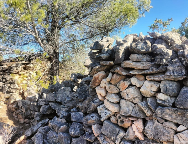 Terreno en venta en Navarrés