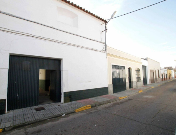 Casa o chalet independiente en venta en Puebla de la Calzada