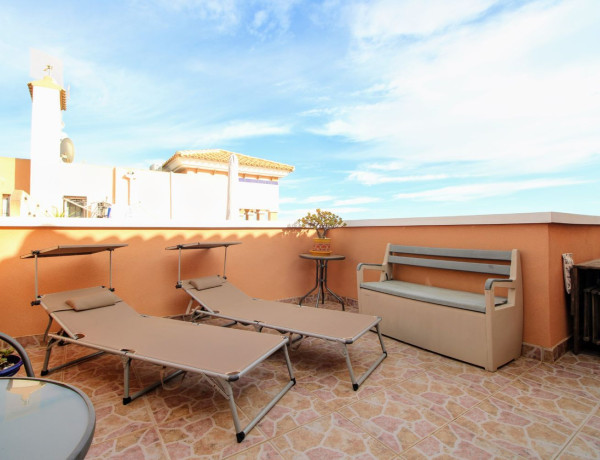 Casa o chalet independiente en venta en Playa Flamenca