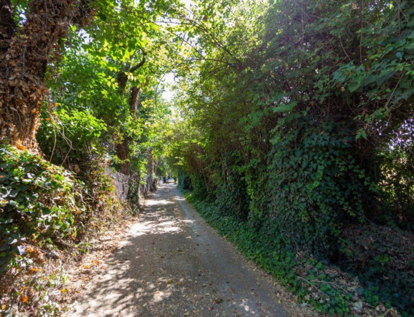 Finca rústica en venta en calle Virgen Blanca, 52