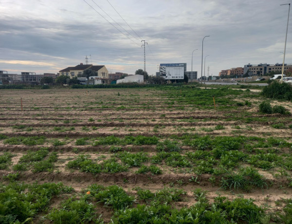 Terreno en venta en calle Ricardo Magdaleno Gallifa s/n