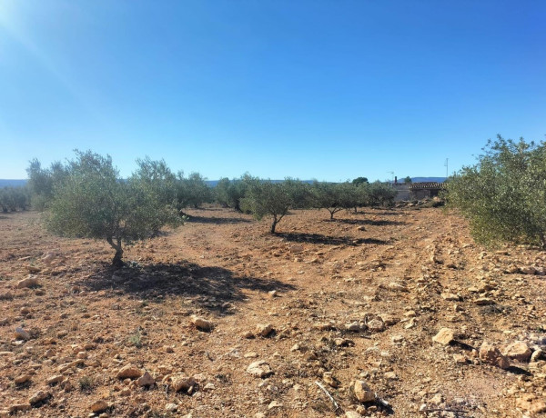 Terreno en venta en Navarrés