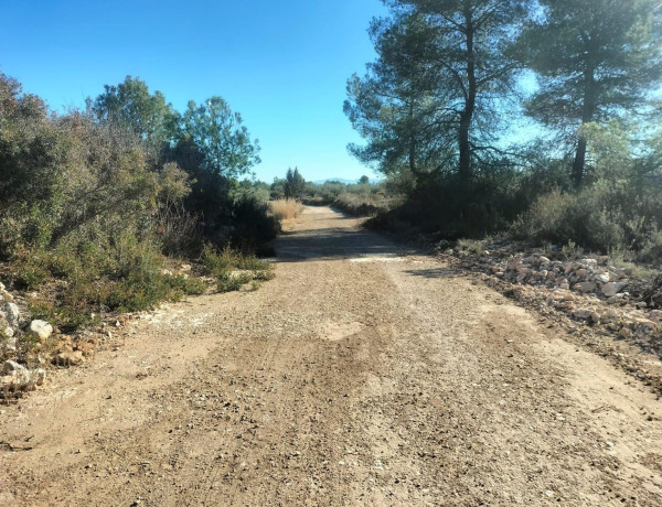 Terreno en venta en Navarrés