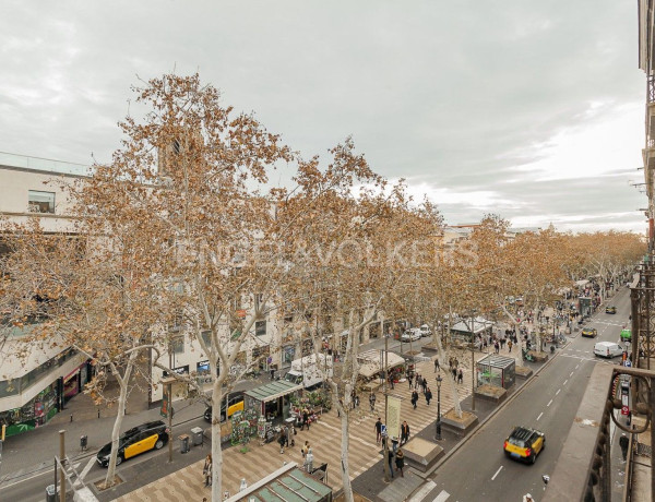 Piso en venta en El Raval