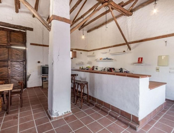 Casa o chalet independiente en venta en avenida de Andalucía