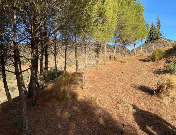 Terreno en venta en Almogía