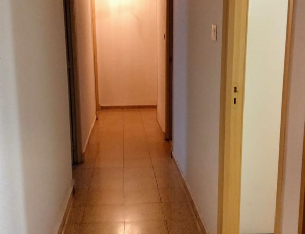 Piso en venta en avenida del Alcalde Miguel Castaño