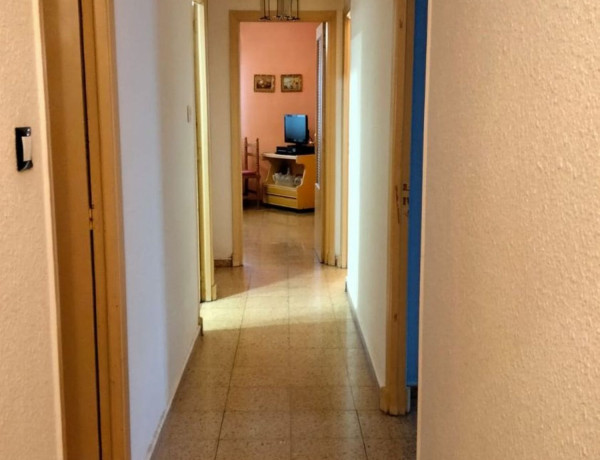 Piso en venta en avenida del Alcalde Miguel Castaño