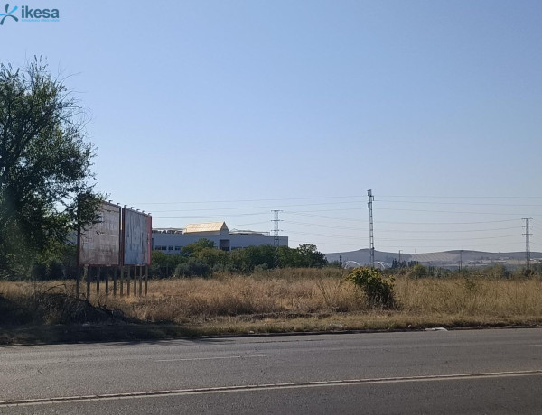 Terreno en venta en calle San Alberto Magno