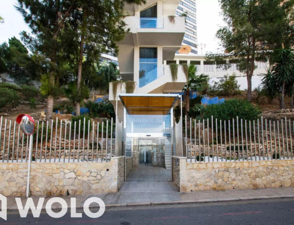 Alquiler de Piso en avenida Del Alcalde Manuel Catalán Chana