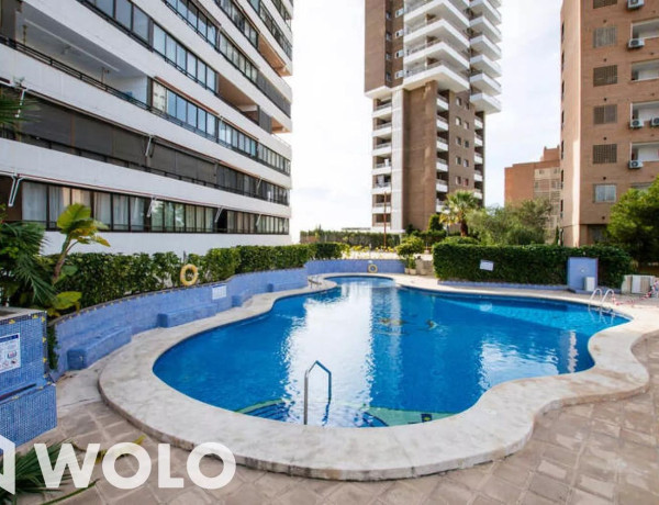 Alquiler de Piso en avenida Del Alcalde Manuel Catalán Chana