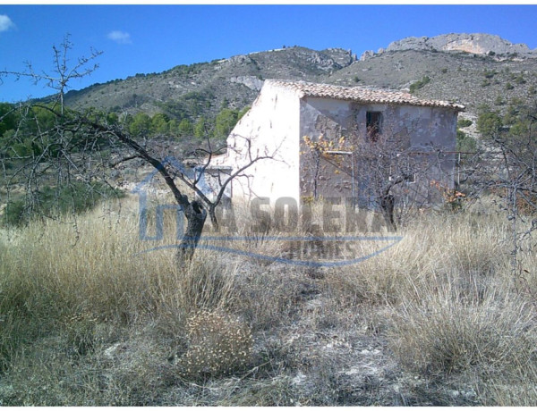 Finca rústica en venta en Partida Figueret