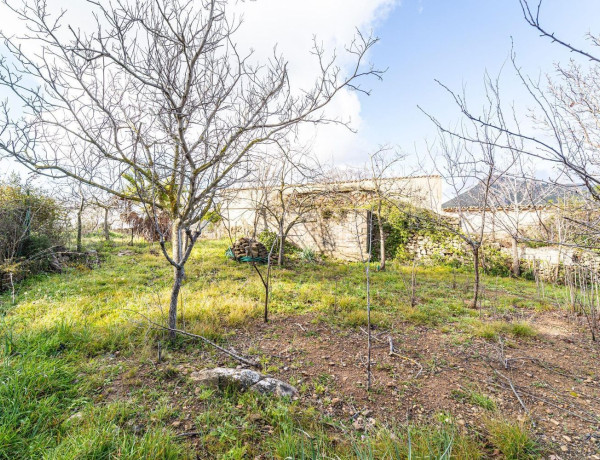 Casa o chalet independiente en venta en Andratx Pueblo