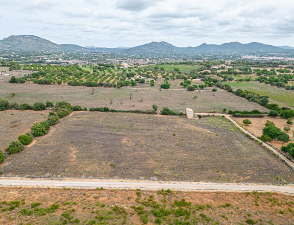 Terreno en venta en Manacor Centro