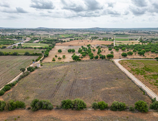 Terreno en venta en Manacor Centro