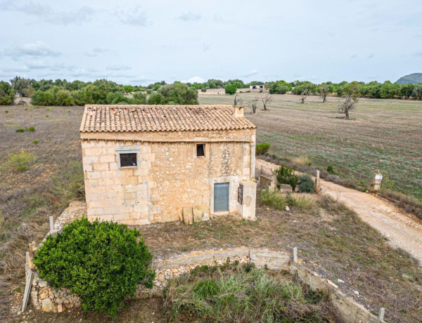 Terreno en venta en Manacor Centro