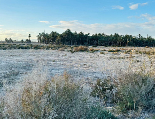 Terreno en venta en La Hoya-Daimes-El Derramador